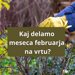 KAJ DELAMO MESECA FEBRUARJA NA VRTU?